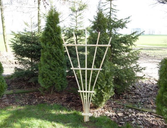 Pergola Pazur 27 Wys. 170cm Szer. 85cm Cena: 27zł brutto