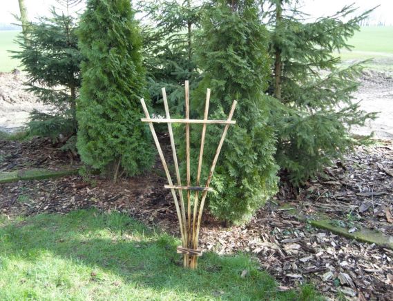 Pergola Pazur 28 Wys. 125cm Szer. 55cm Cena: 22zł brutto